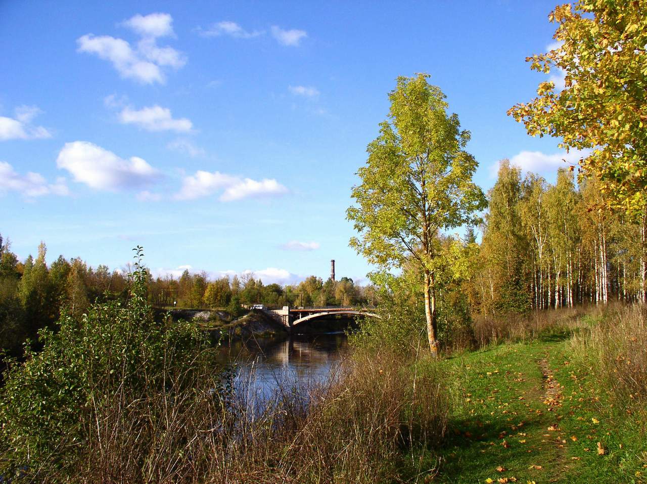 Река Плюсса Ленинградская область сланцы